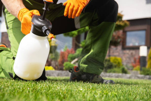 Best Ant Control Services  in Bowdon, GA