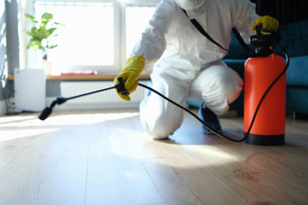 Best Affordable Pest Control Services  in Bowdon, GA