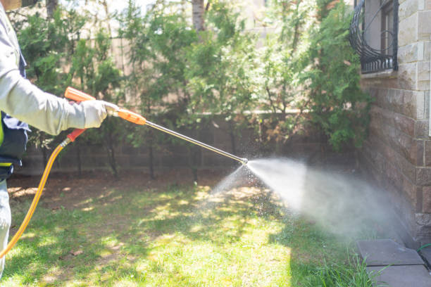 Best Cockroach Control Services  in Bowdon, GA