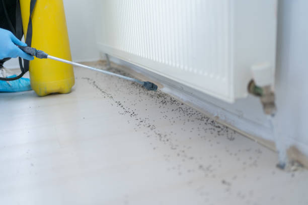 Best Pest Control Near Me in Bowdon, GA