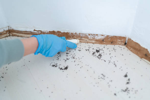 Best Residential Pest Control  in Bowdon, GA